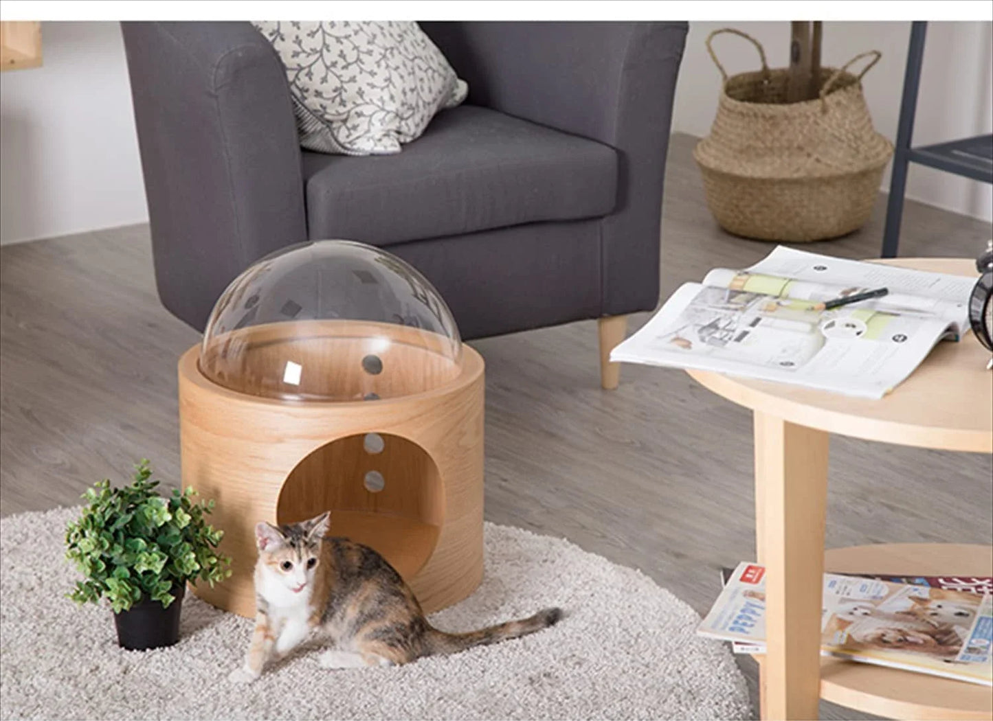 Wooden Spaceship Gamma Pet Bed for Cat & Dog Window Perch Cat Tree Made of Wood Wall Mounted Cat Bed Indoor DIY Mansion