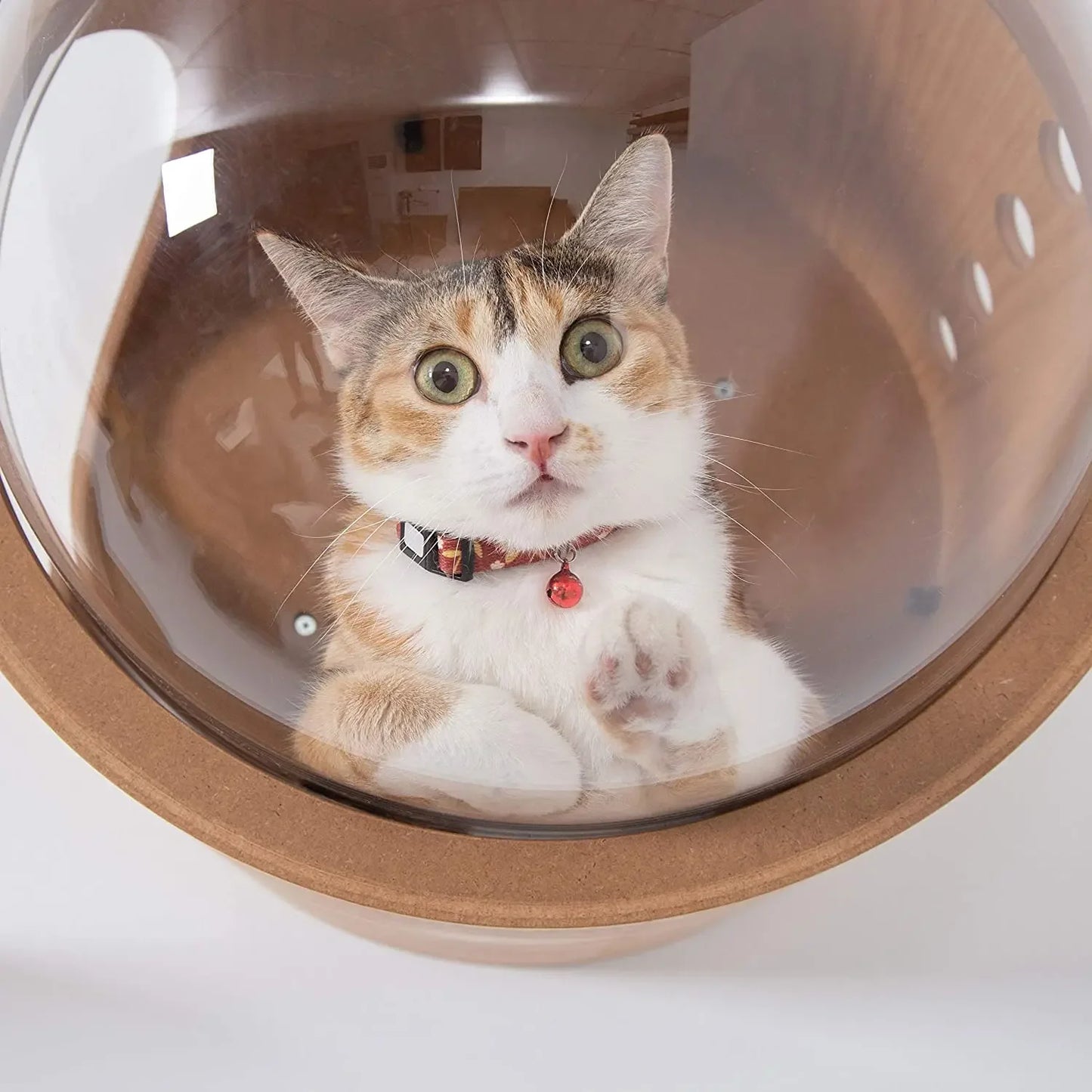Wooden Spaceship Gamma Pet Bed for Cat & Dog Window Perch Cat Tree Made of Wood Wall Mounted Cat Bed Indoor DIY Mansion