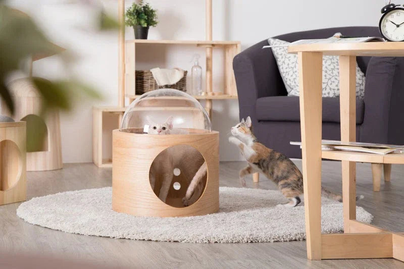 Wooden Spaceship Gamma Pet Bed for Cat & Dog Window Perch Cat Tree Made of Wood Wall Mounted Cat Bed Indoor DIY Mansion