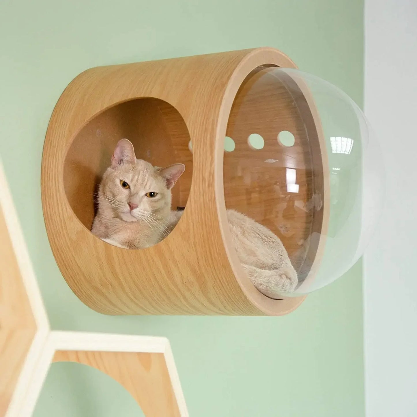 Wooden Spaceship Gamma Pet Bed for Cat & Dog Window Perch Cat Tree Made of Wood Wall Mounted Cat Bed Indoor DIY Mansion